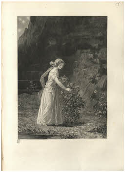 Visualizza l'immagine "Vol. Y 121.2, tav. 15"